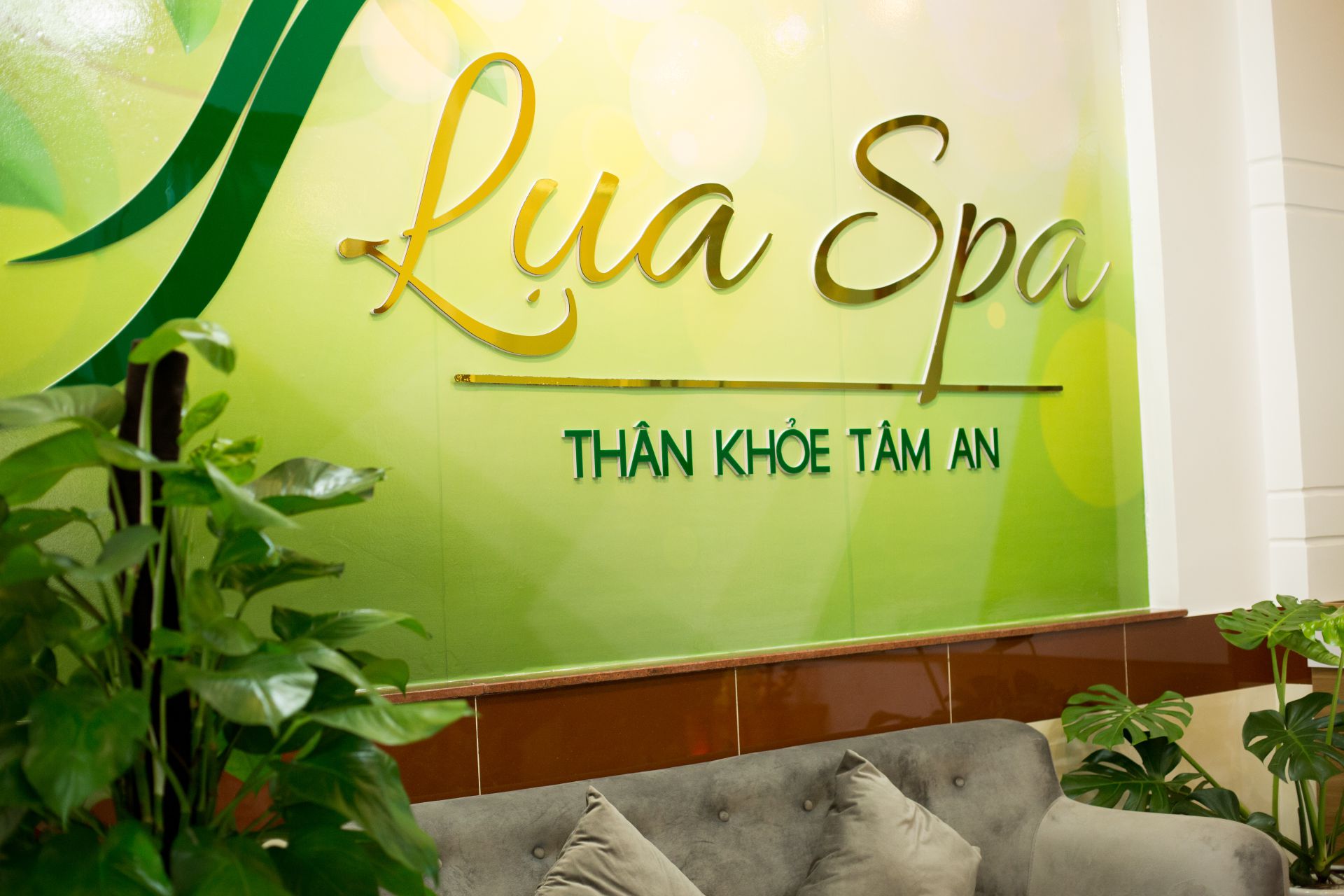 Set-up Spa Dưỡng Sinh, Massage Trị Liệu: Chọn Mô Hình Nào Hiệu Quả?