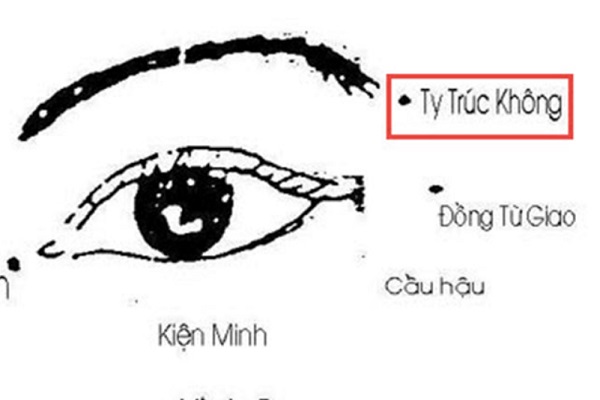 Huyệt ty trúc không là gì? Vị trí, công dụng khi châm cứu, bấm huyệt