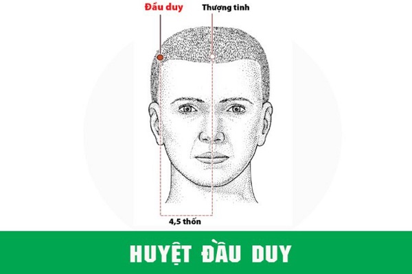 Vị trí các huyệt trên mặt và cách bấm huyệt hiệu quả nhất