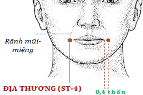 Vị trí các huyệt trên mặt và cách bấm huyệt hiệu quả nhất