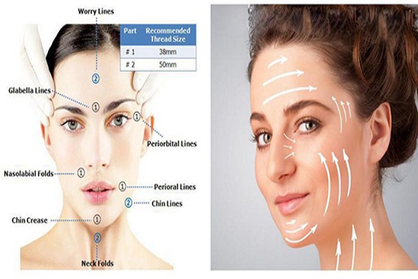 Vị trí các huyệt trên mặt và cách bấm huyệt hiệu quả nhất