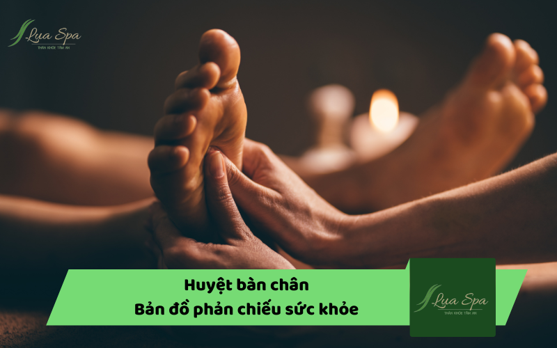 Huyệt bàn chân - Bản đồ phản chiếu sức khỏe con người