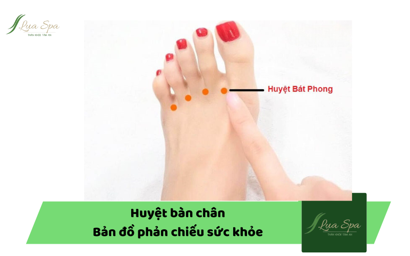 Huyệt bàn chân - Bản đồ phản chiếu sức khỏe con người