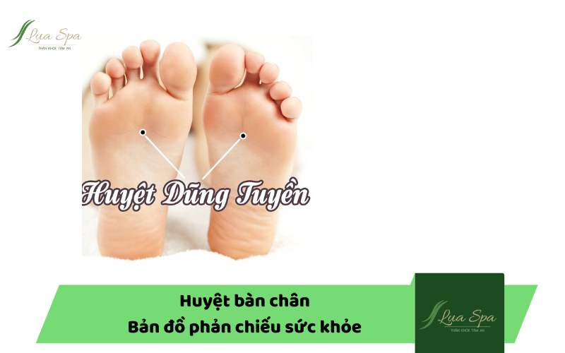 Huyệt bàn chân - Bản đồ phản chiếu sức khỏe con người