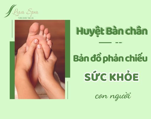 Huyệt bàn chân - Bản đồ phản chiếu sức khỏe con người